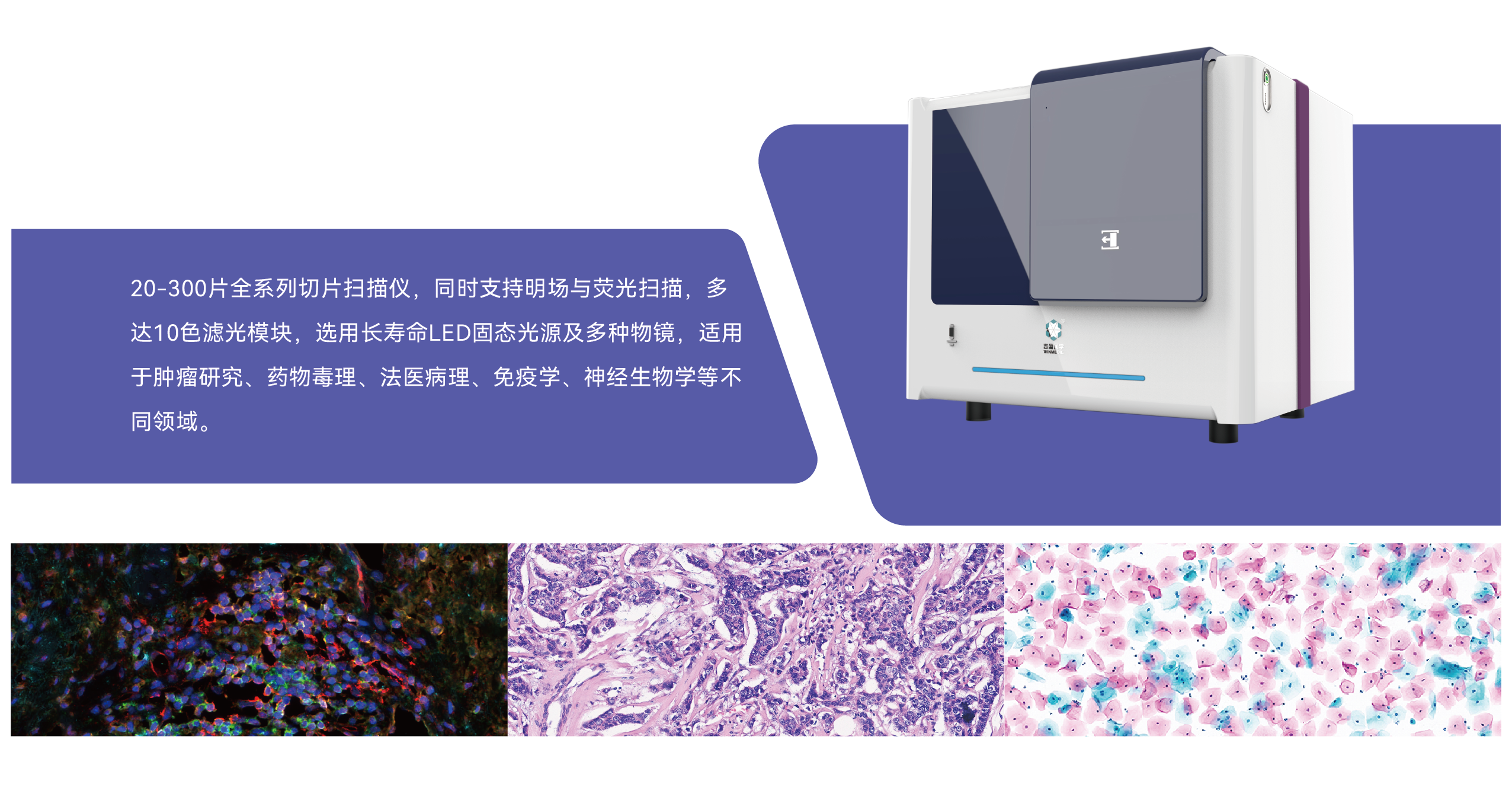 产品配图_画板 1.png